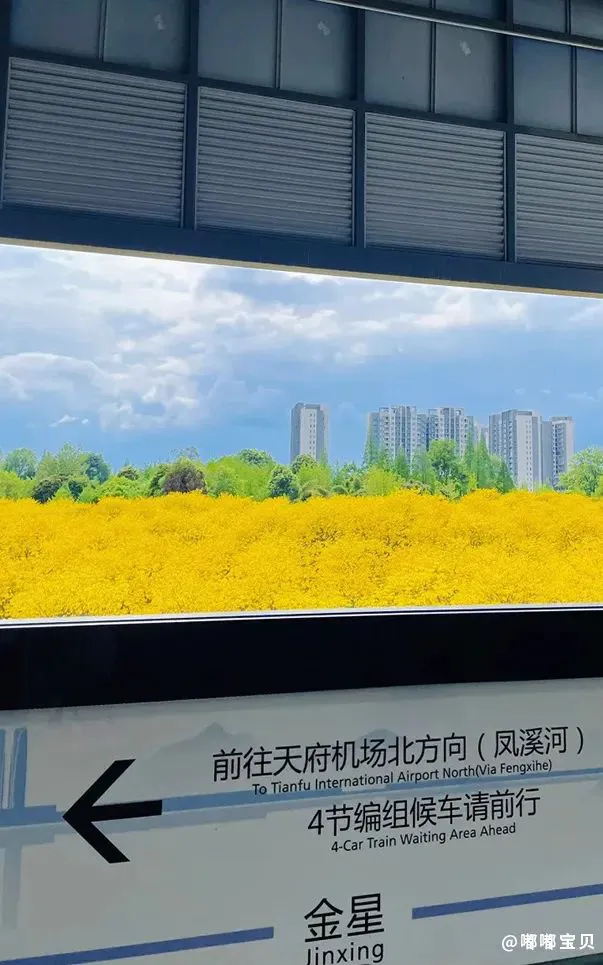 如何借助云计算技术提高篮球运动员的表现_2